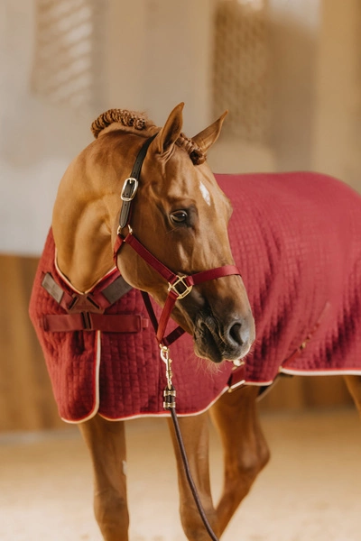 Derka Cooler Rug PROtherm - bordowa