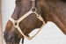 Kentucky kantar Nylon Halter Breakaway - beżowy