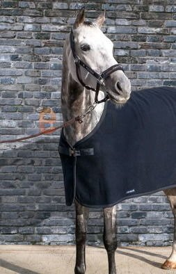 Derka polarowa Equiline Hugo - granatowa