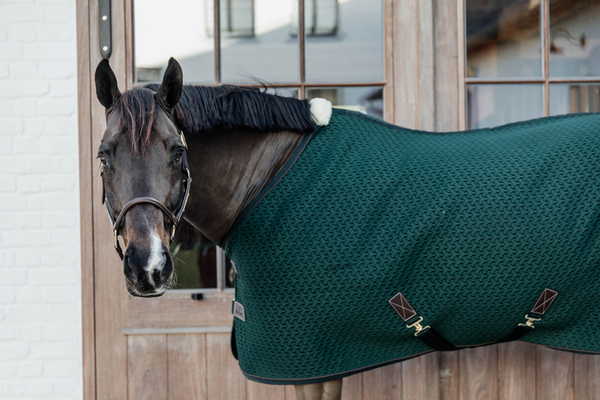 Derka 4D Spacer Cooler Sheet - pine green
