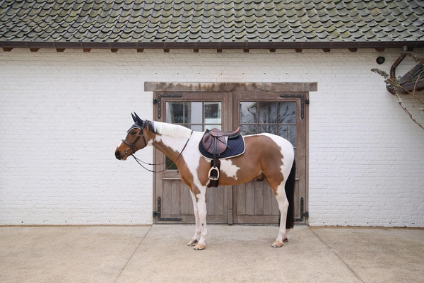 Kentucky czaprak Softshell Onion Quilt - granat