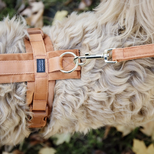 Smycz Kentucky Velvet 2m - pomarańczowa