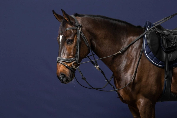 Gumowe wodze do Gogue 1/2" Dy'on Working