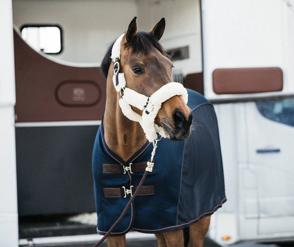 Derka Kentucky Mesh Combo Cooler