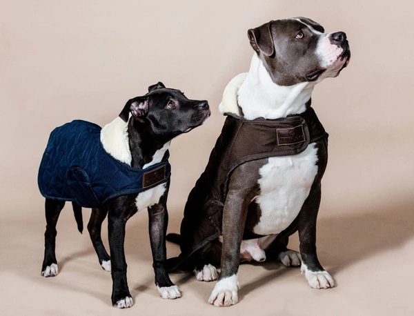 Kentucky derka dla psa Original - brązowa