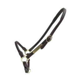 Kentucky skórzany kantar typu "Grooming"