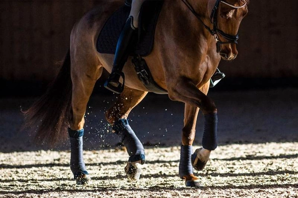 Popręg ujeżdżeniowy Winderen Pressure Relief - czarny