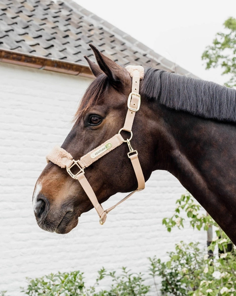 Kentucky kantar Teddy Fleece podszyty puchatym polarem - beżowy