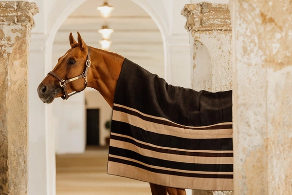 Osuszająca derka Kentucky Heavy Fleece Rug Square Stripes - brązowa