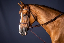 Dy'on wodza pomocnicza New English 5/8