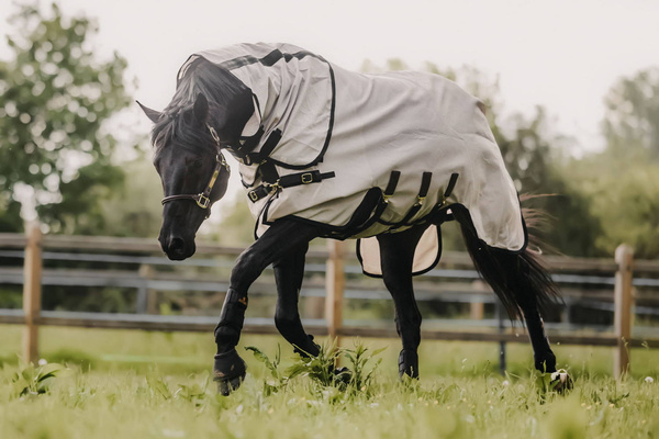 Derka Kentucky Mesh Fly Rug