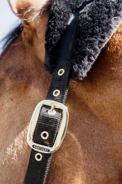 Kentucky kantar podszyty futrem Soft - czarny