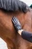 Rękawiczki Kentucky Gloves Grip Glitter - czarne
