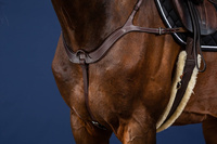 Anatomiczny skórzany napierśnik Dy'on US Jumping - czarny