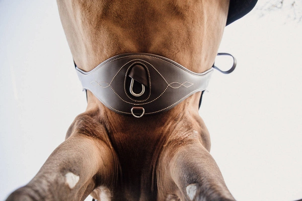 Kentucky popręg anatomiczny - brązowy