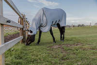 Derka chroniąca przed owadami Kentucky Eczema Rug