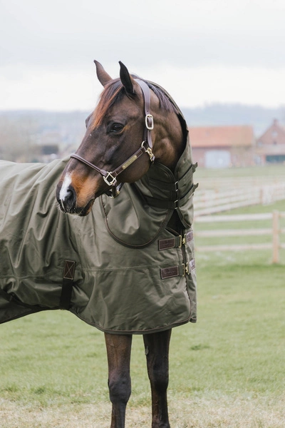 Kentucky derka padokowa All Weather Waterproof Pro 160g - khaki