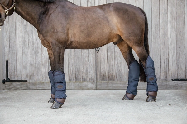 Ochraniacze transportowe Kentucky