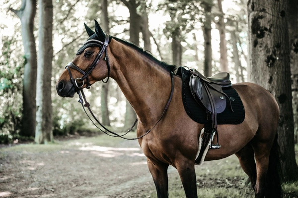 Kentucky czaprak Pearls - czarny