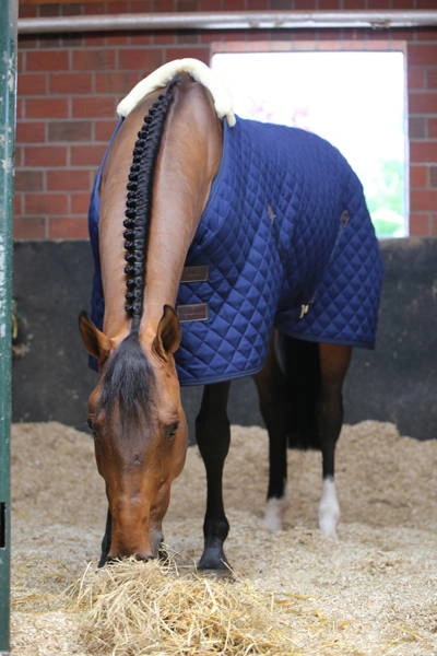 Kentucky derka stajenna 400 g - granatowa