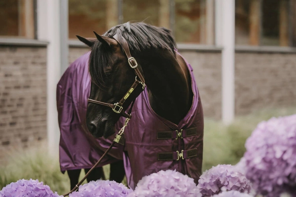 Kentucky derka padokowa All Weather Waterproof Pro 160g - fioletowa