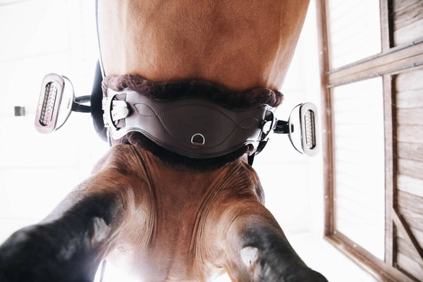 Kentucky anatomiczny ujeżdżeniowy popręg z futrem - brązowy