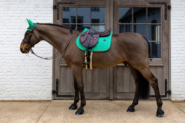 Kentucky czaprak Velvet Horse printing - zielony