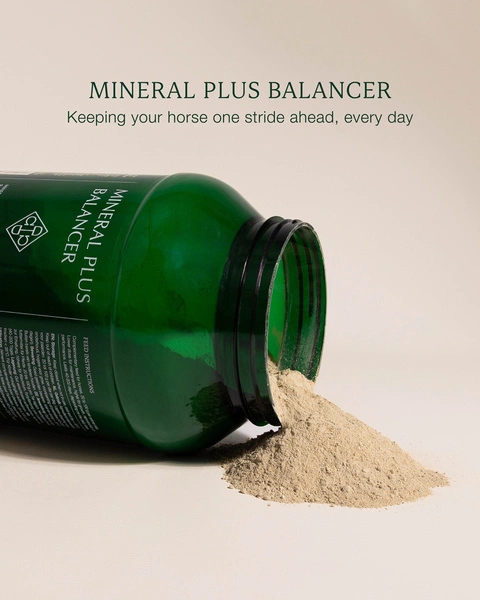Mineral Plus Balancer - 4 kg