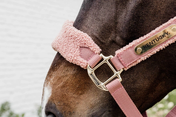 Kentucky kantar Teddy Fleece podszyty puchatym polarem - old rose