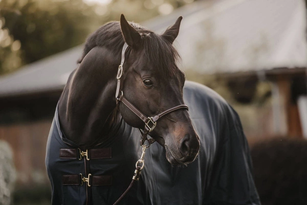 Derka Kentucky Mesh Fly Sheet - granatowa