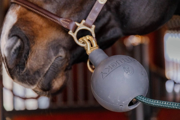 Kentucky Rubber Ball Protection - gumowa kula ochronna do uwiązów i ściany - szara