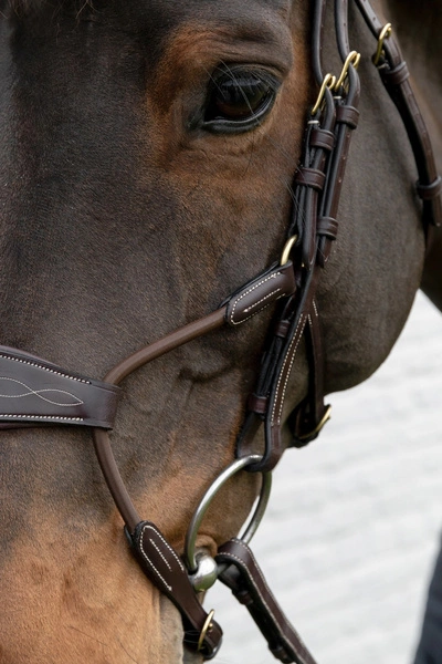 Nachrapnik Dy'on Elastic Hybrid D Collection