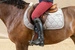 Czapsy Exel Half Chaps Dy'on - czarne gładkie