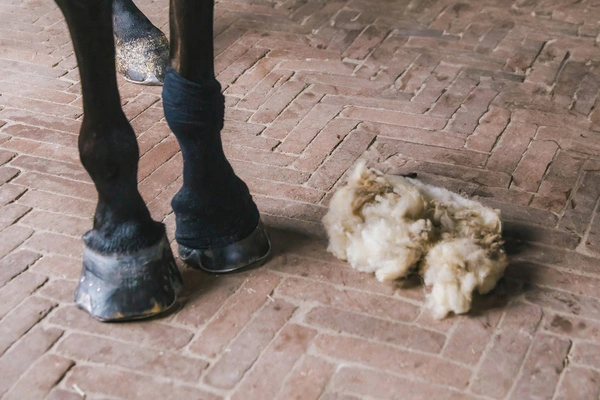 Wełna terapeutyczna - gruda i problemy skórne