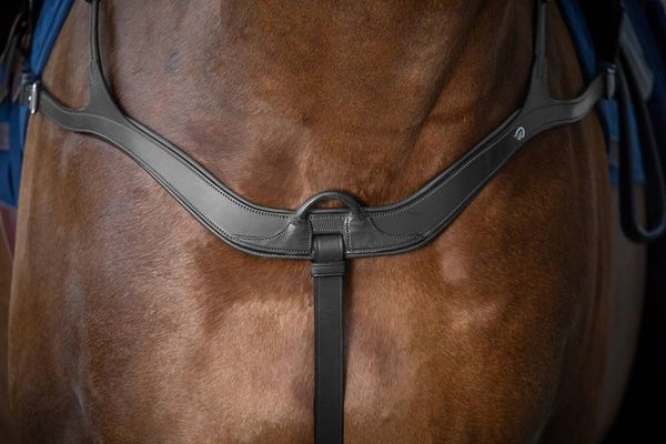 Anatomiczny skórzany napierśnik Dy'on New English