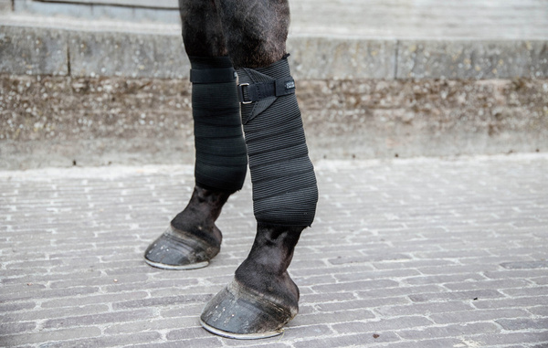 Kentucky bandaże polarowo-elastyczne - czarne