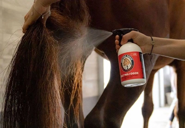Odżywka do rozczesywania Doctor Horse Grzywa i ogon 500ml