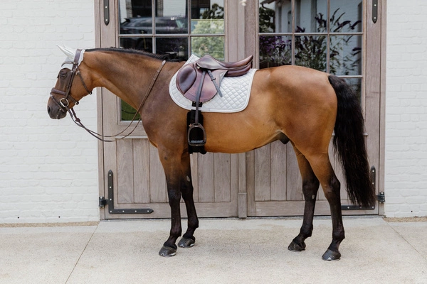 Kentucky nauszniki wyciszające Wellington Diamond Rope - szare