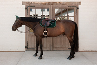 Kentucky czaprak Velvet - pine green