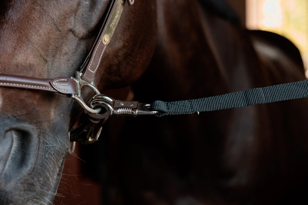 Kentucky regulowany bezpieczny nylonowy uchwyt - czarny - Kentucky Grooming Deluxe