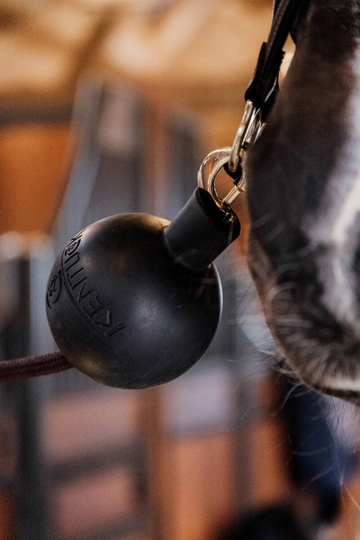 Kentucky Rubber Ball Protection - gumowa kula ochronna do uwiązów i ściany - czarna