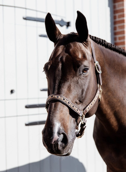 Kentucky kantar Pearls - złoty