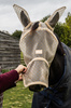  Kentucky Fly Mask Heart - maska na owady - beżowa