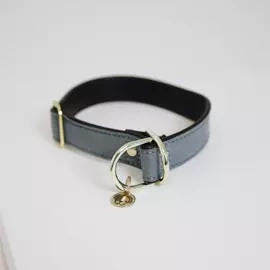 Obroża Kentucky Loop