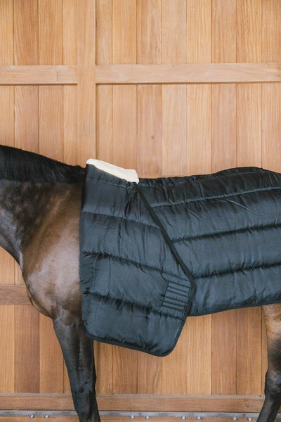 Kentucky podderka Comfort Liner Pro 300 g - granat