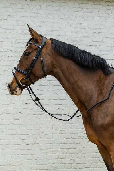 Ogłowie Dy'on New English Flash Noseband Bridle - Soft Collection - czarne