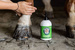 Szampon Doctor Horse Czysty koń 500ml