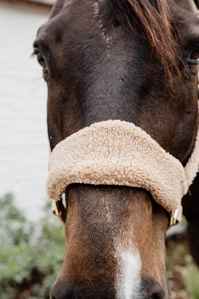 Kentucky kantar Teddy Fleece podszyty puchatym polarem - beżowy