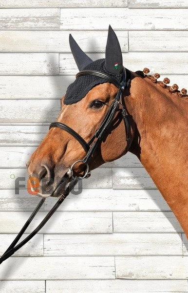 Nauszniki wyciszające Equiline Gerald - granatowe