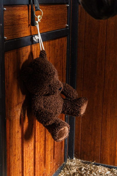 Kentucky zabawka do boksu Bear - brązowy